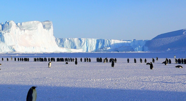 What Is The Most Inexpensive Manner To Get To Antarctica?