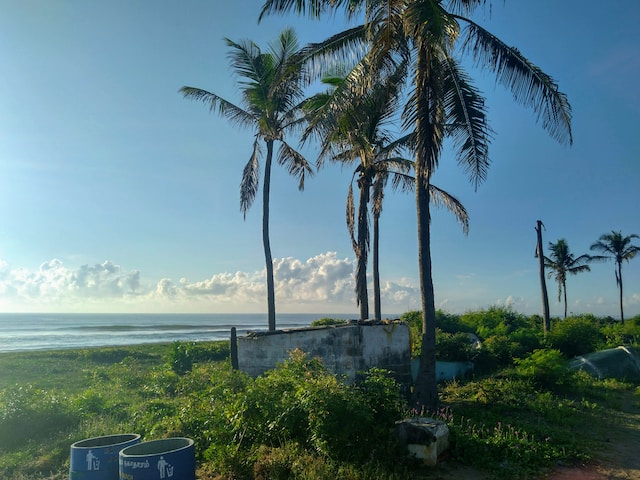 Which Is The Cleanest Beach In Chennai?