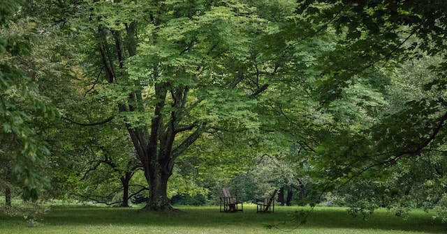 Can Dogs Go To Chanticleer Garden?